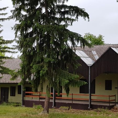 Domus Vendeghaz Hotel Balatonszárszó Exterior foto
