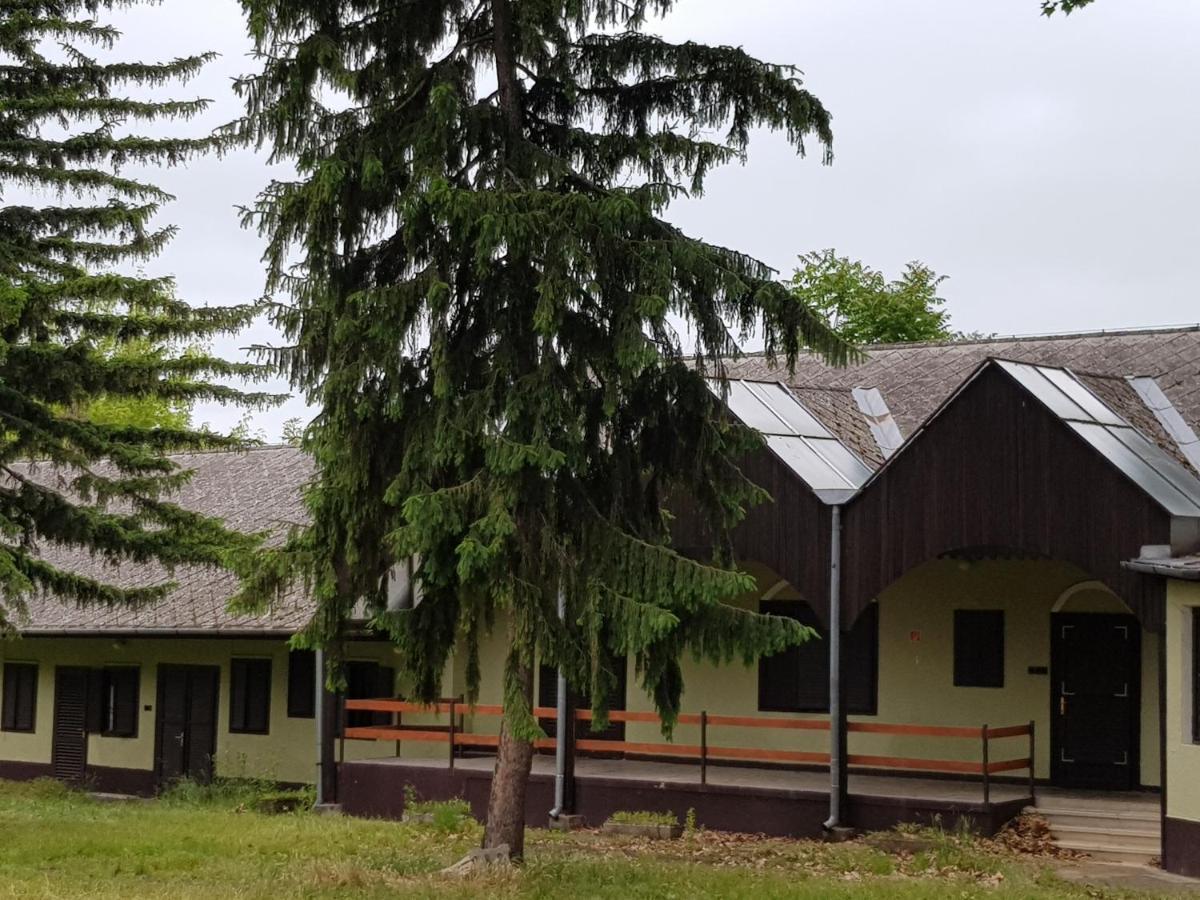 Domus Vendeghaz Hotel Balatonszárszó Exterior foto